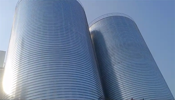 宣化2座混凝土高架卷板仓